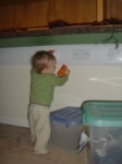 Oisín's work-day